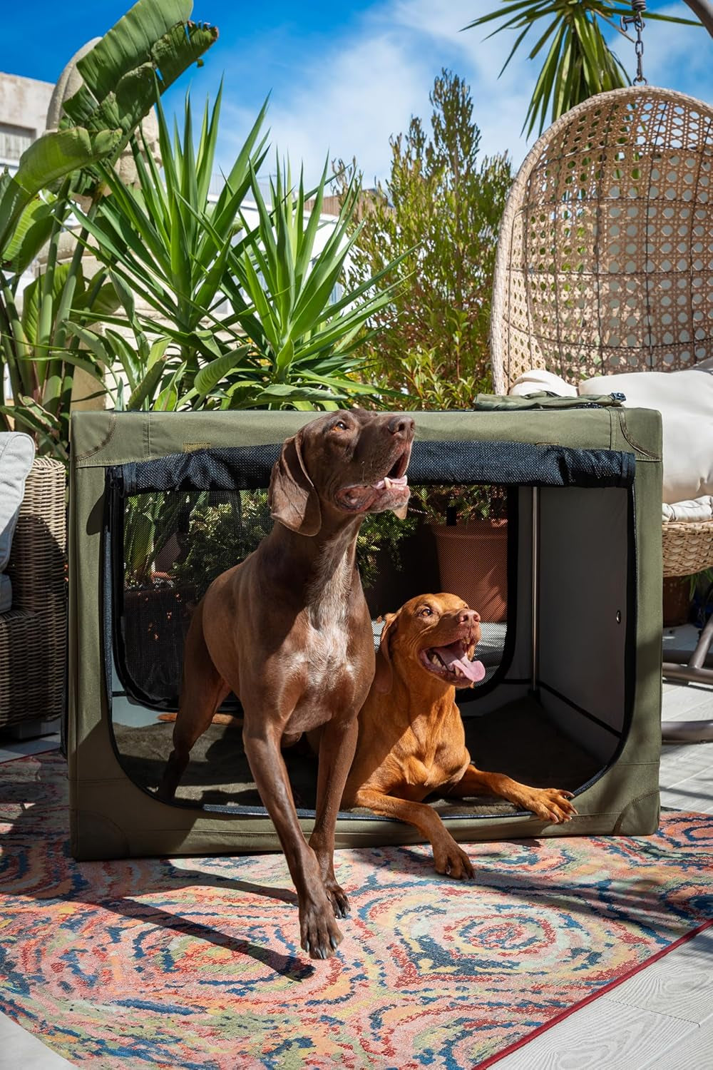 Collapsible Dog Crate 36 Inches, XL Dog Crate for XL, Large Medium Breed, Travel Kennel for Car, Includes Pet Mat for Pet Cage, 2 Storage Pockets, Handbag, 10Mm Locking Zippers