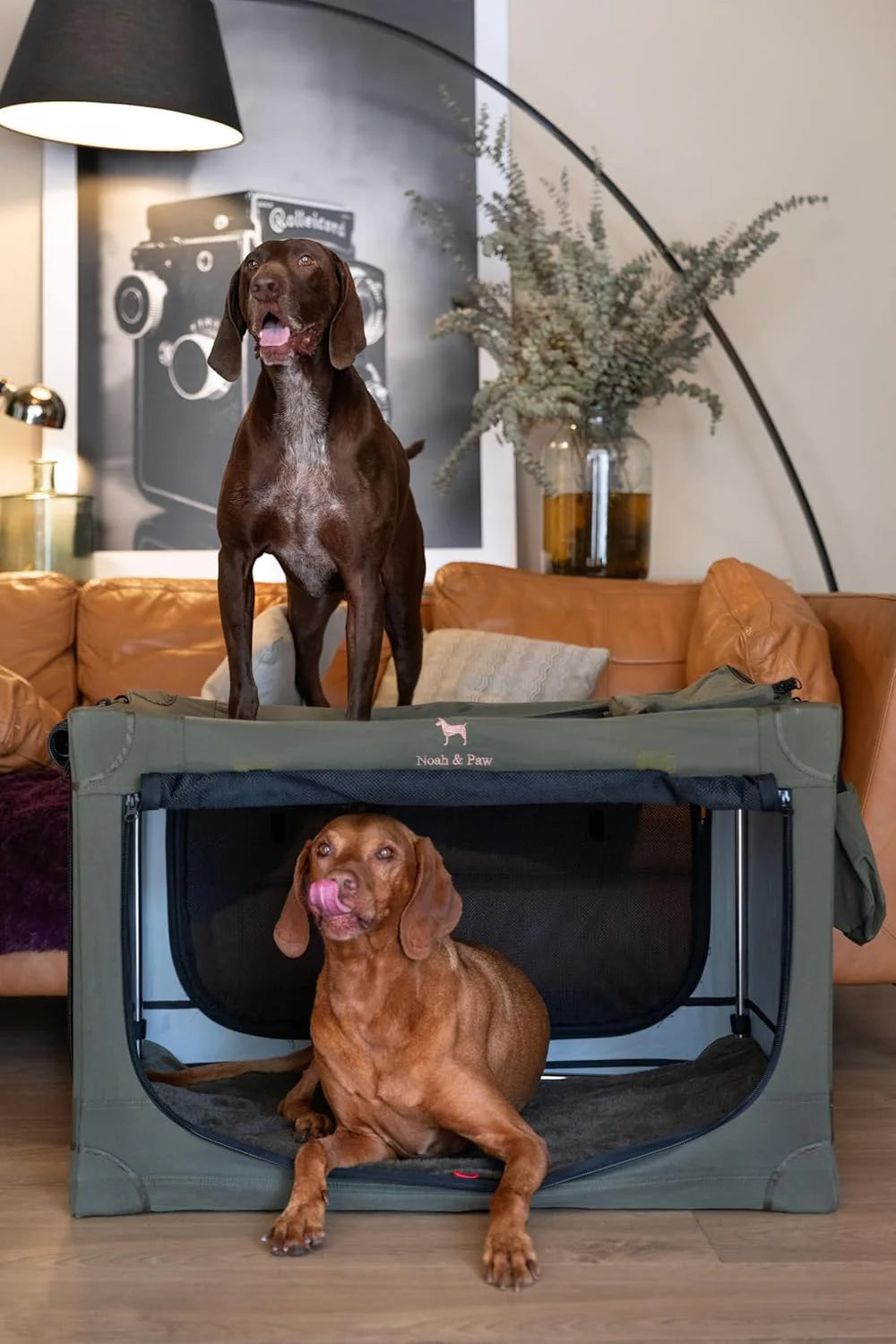Collapsible Dog Crate 36 Inches, XL Dog Crate for XL, Large Medium Breed, Travel Kennel for Car, Includes Pet Mat for Pet Cage, 2 Storage Pockets, Handbag, 10Mm Locking Zippers