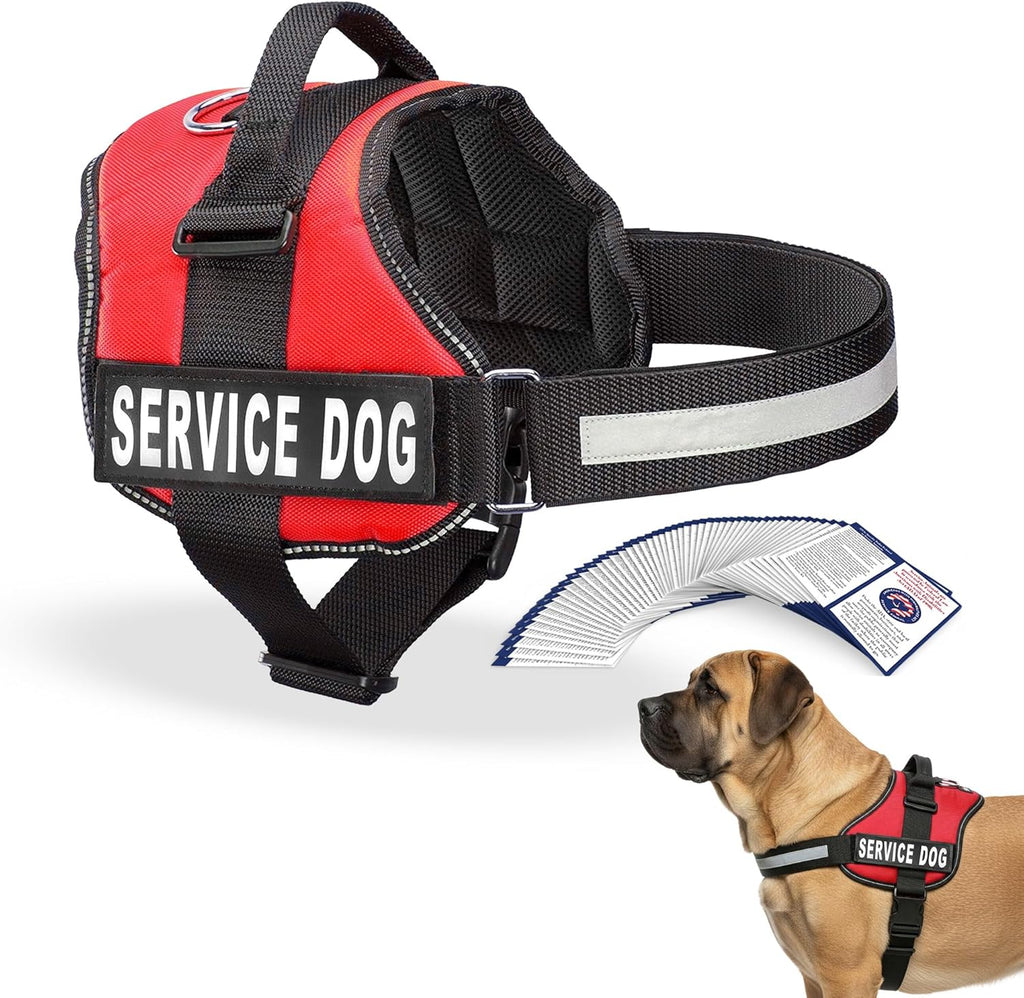 Service Dog Vest Harness - Durable & Adjustable Vest for Dog with Reflective Straps, Removable Patches, 50 ADA Cards, Handle & D-Ring, Travel and Daily Use, (Bright Red, XL 30"-39")