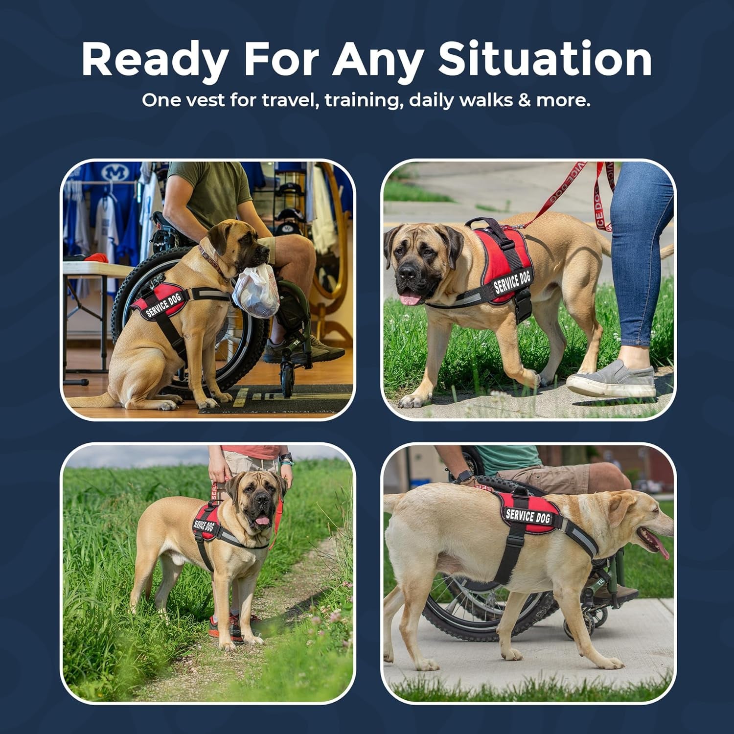 Service Dog Vest Harness - Durable & Adjustable Vest for Dog with Reflective Straps, Removable Patches, 50 ADA Cards, Handle & D-Ring, Travel and Daily Use, (Bright Red, XL 30"-39")